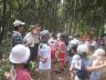 松林の中で、子ども達がネイチャーゲーム「私は誰でしょう」を体験